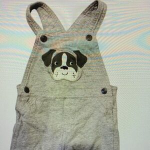 Adorable Gray Dog Overalls